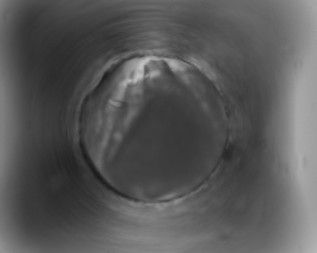 X0000089880002200707192005