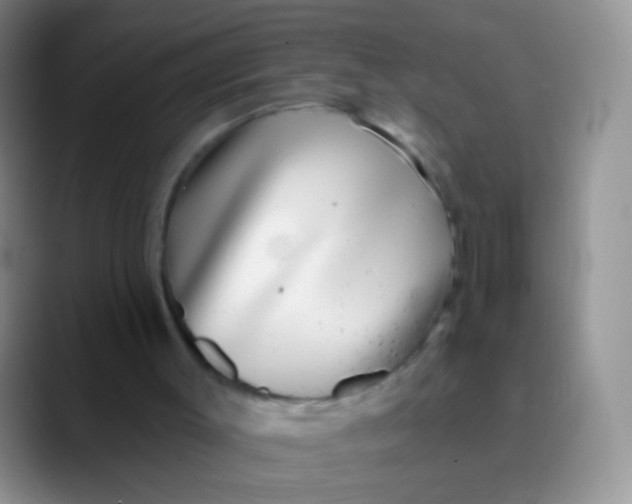 X0000089880003200707192005