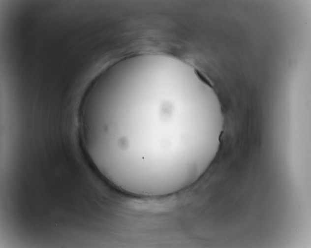 X0000089880005200707192005