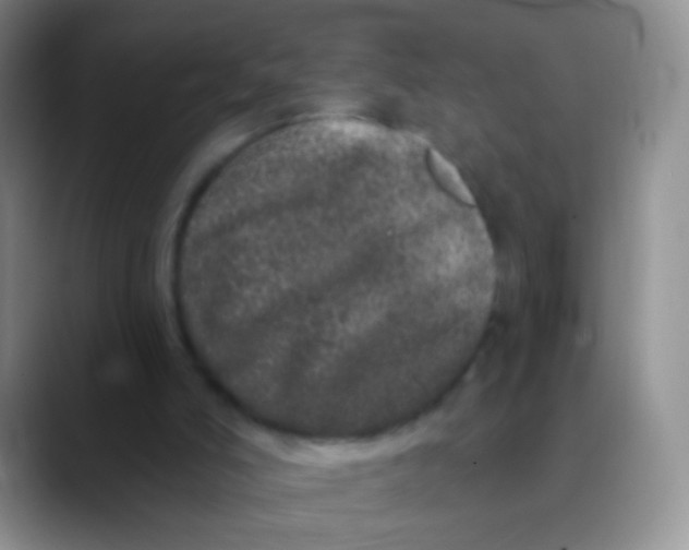 X0000089880006200707192005