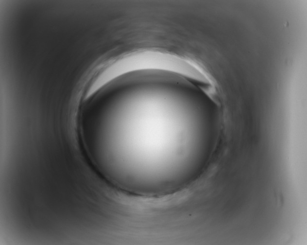 X0000089880007200707192004