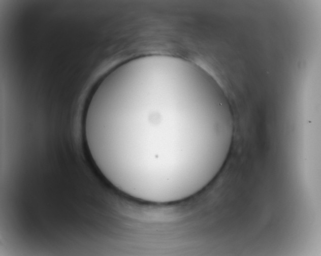 X0000089880008200707192004