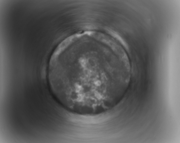 X0000089880010200707192004