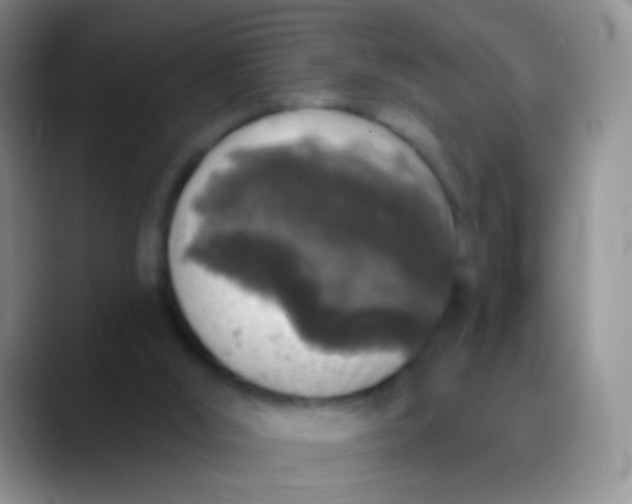 X0000089880012200707192004