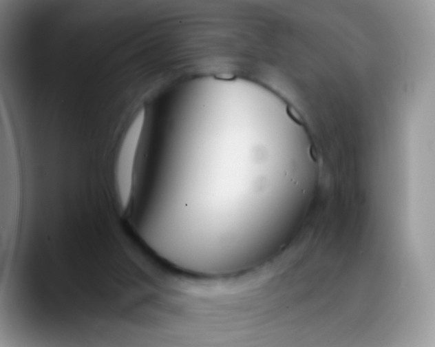 X0000089880013200707192004