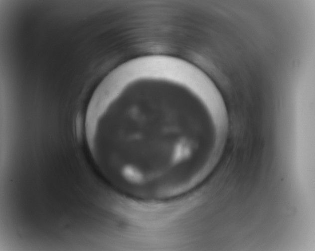 X0000089880014200707192004