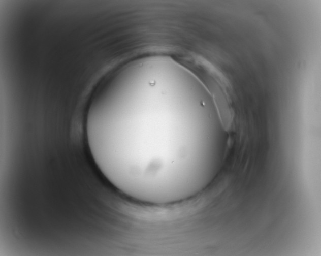 X0000089880015200707192004