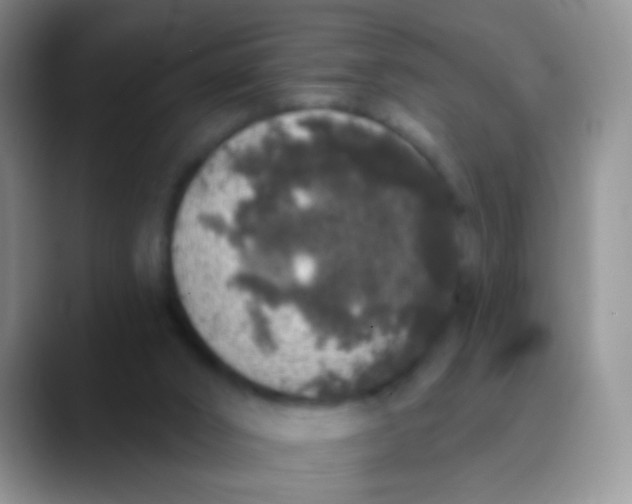 X0000089880016200707192004