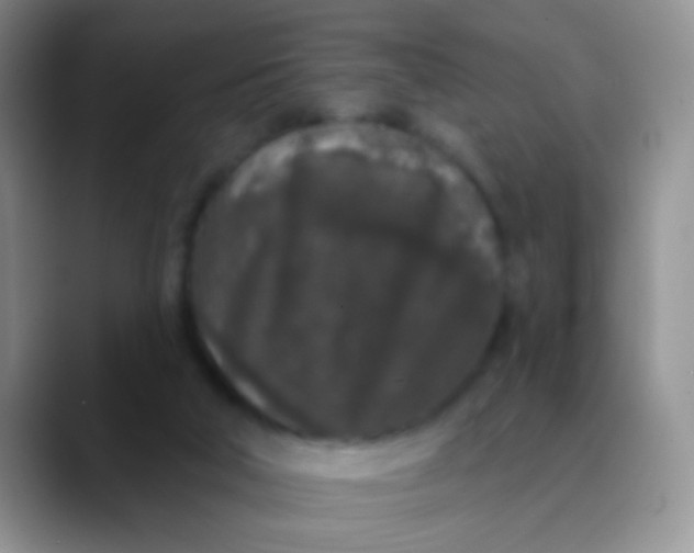 X0000089880018200707192004