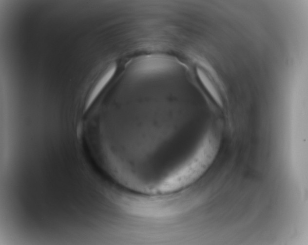 X0000089880019200707192004