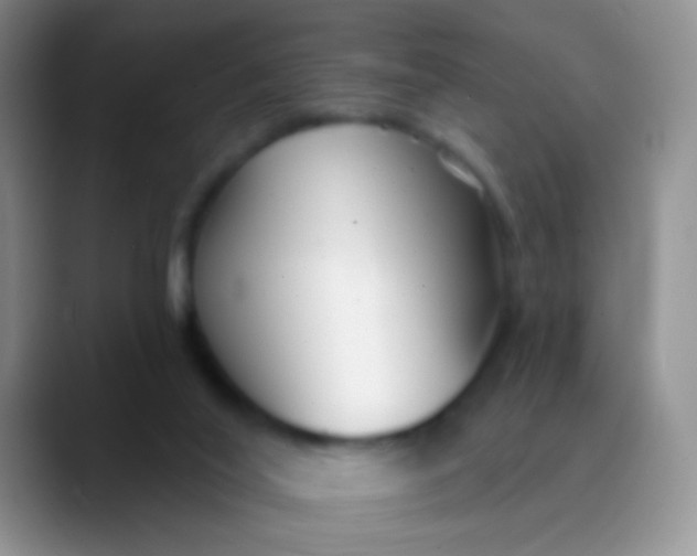 X0000089880020200707192004