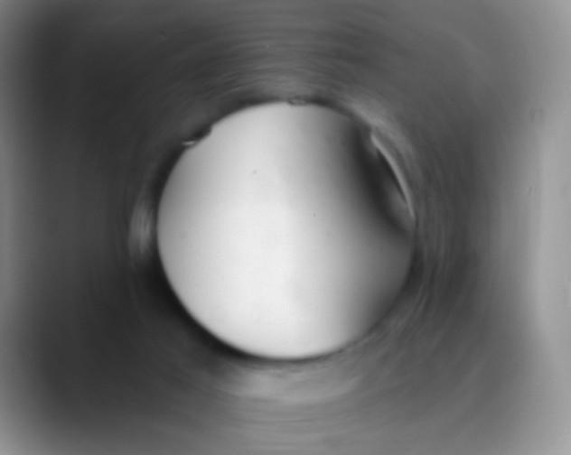 X0000089880021200707192004