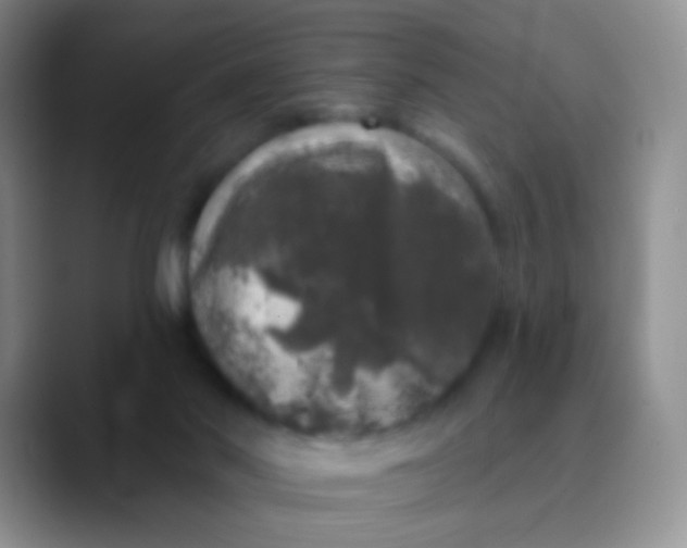 X0000089880022200707192004