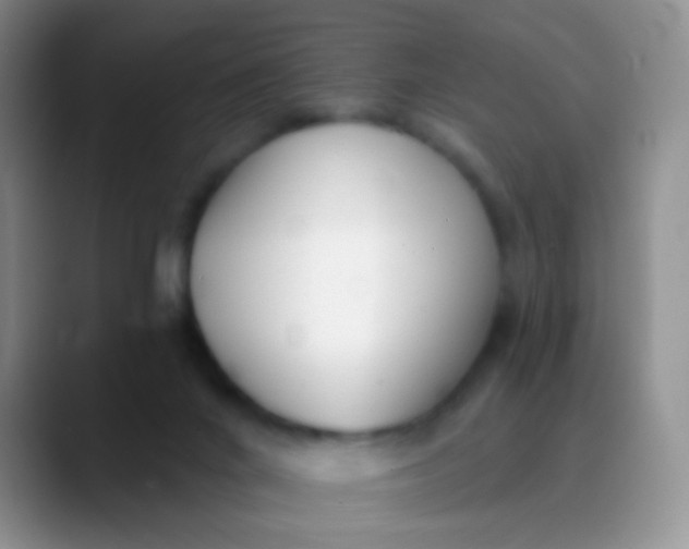 X0000089880024200707192004