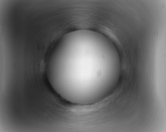 X0000089880025200707192004