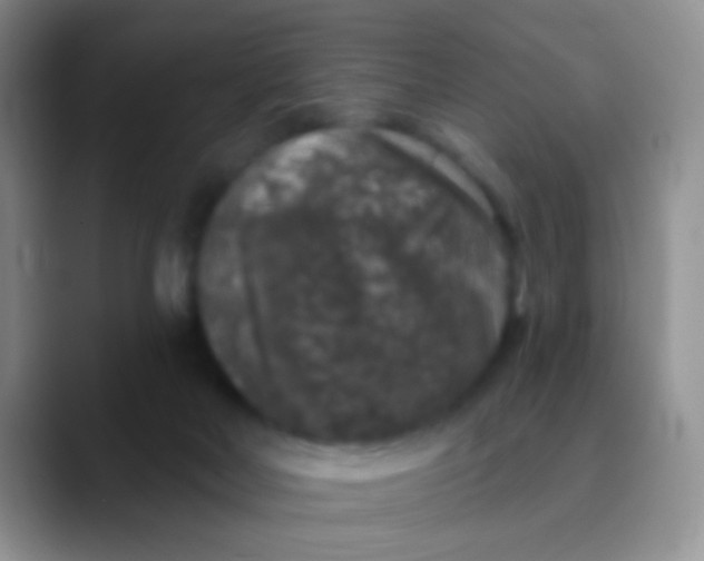 X0000089880026200707192004