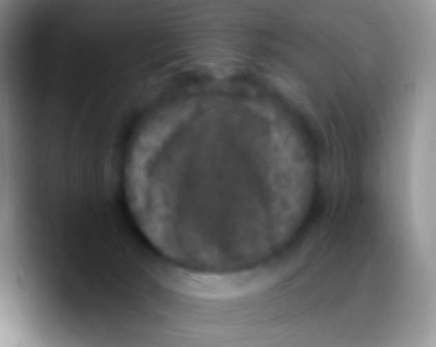 X0000089880030200707192004