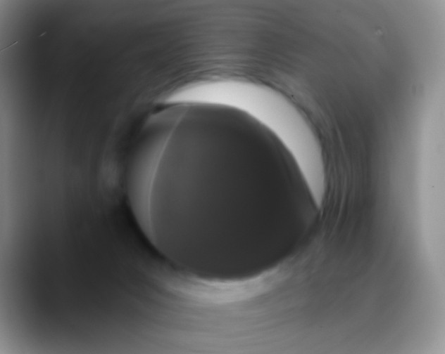 X0000089880031200707192004