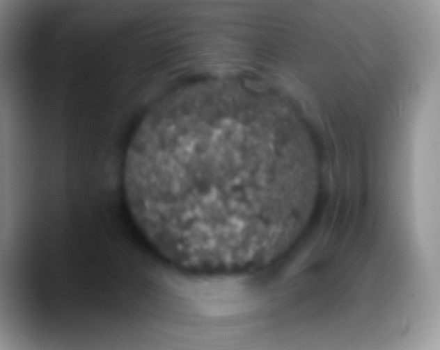 X0000089880032200707192004