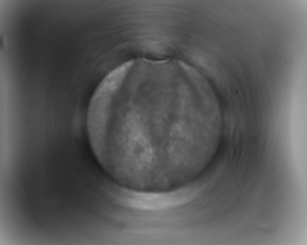 X0000089880034200707192004