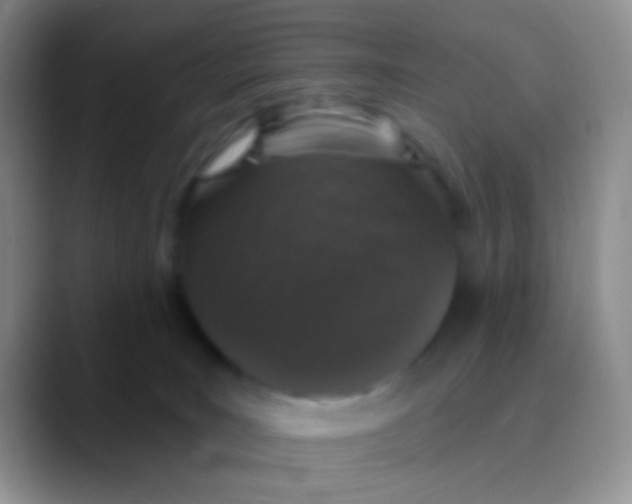 X0000089880035200707192004