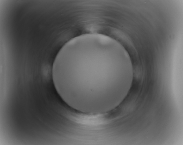 X0000089880036200707192004