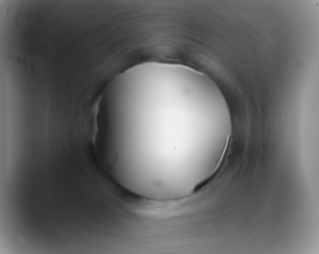 X0000089880037200707192004