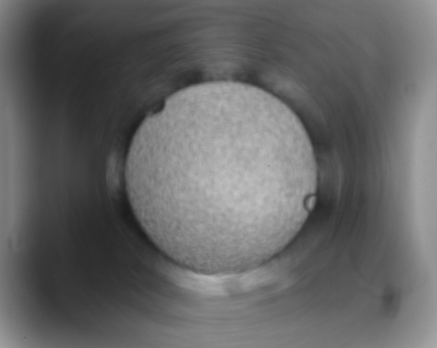 X0000089880038200707192004