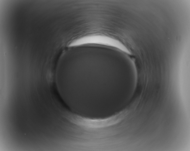 X0000089880039200707192004