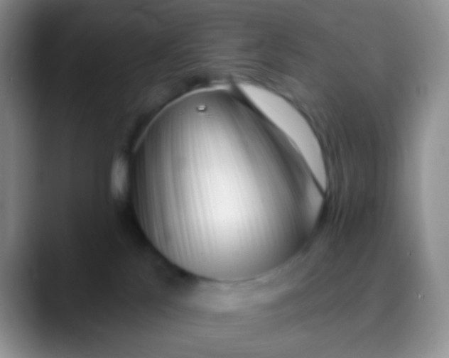 X0000089880041200707192004