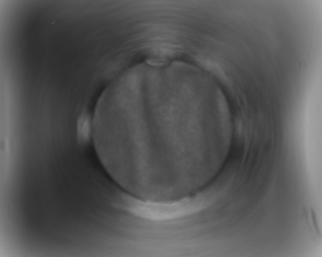 X0000089880042200707192004