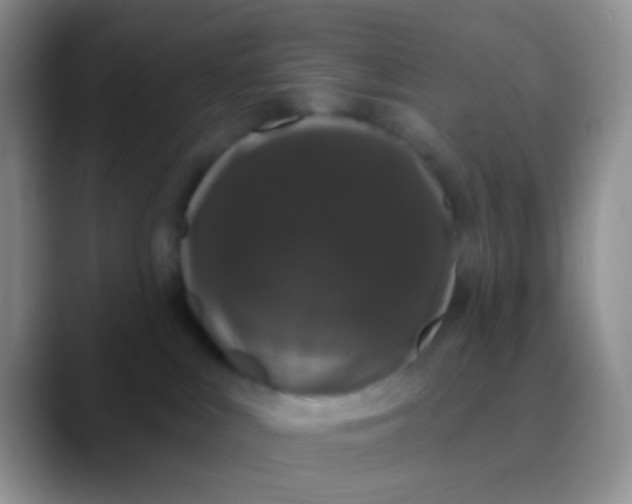 X0000089880043200707192004