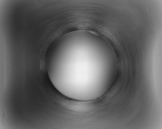 X0000089880044200707192004