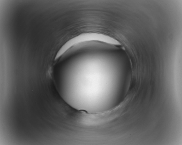 X0000089880045200707192004