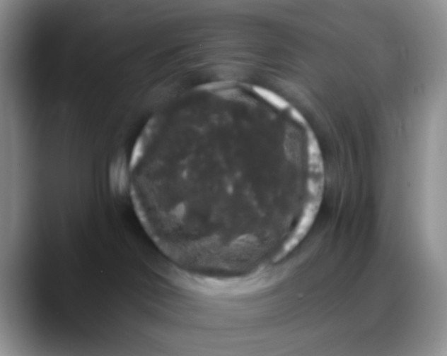 X0000089880046200707192004