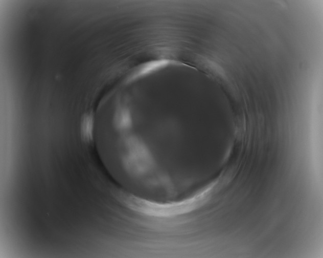 X0000089880047200707192004