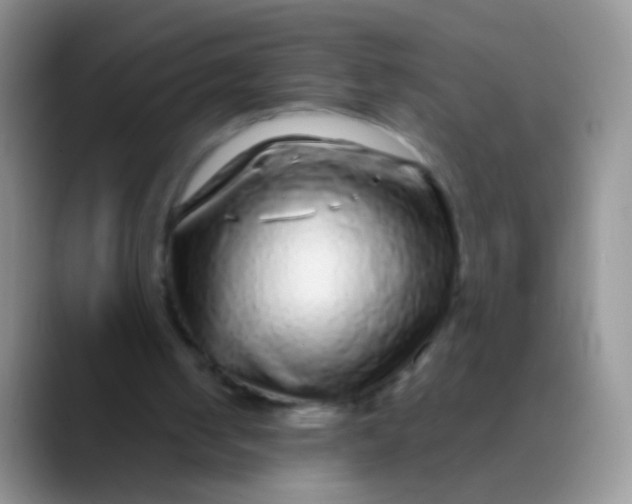 X0000089880050200707192003