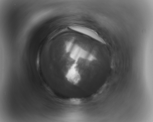 X0000089880052200707192003