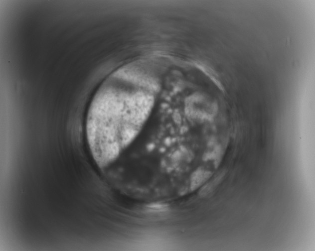 X0000089880053200707192003