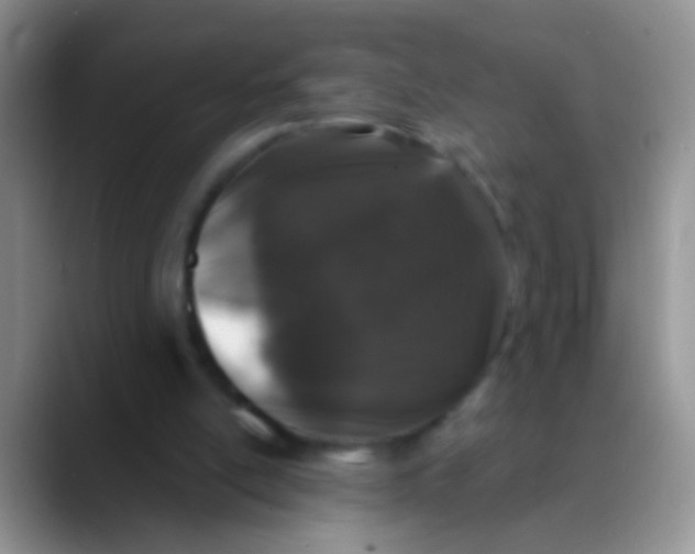 X0000089880054200707192003