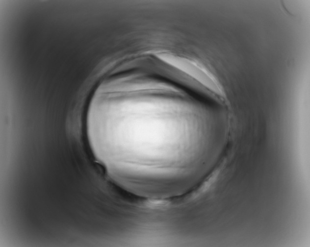 X0000089880055200707192004