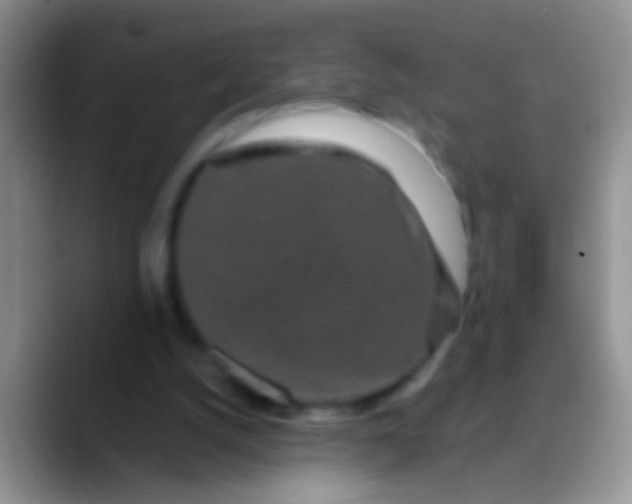 X0000089880056200707192004