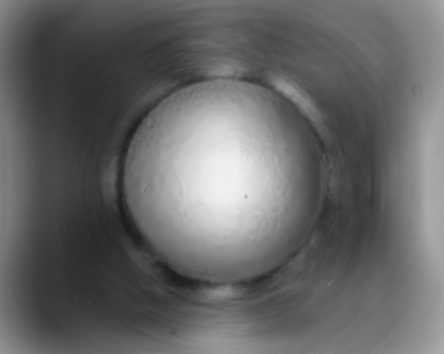 X0000089880058200707192004