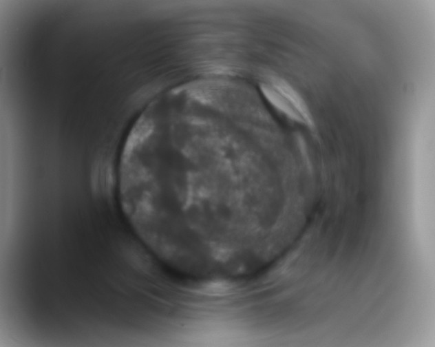 X0000089880059200707192004