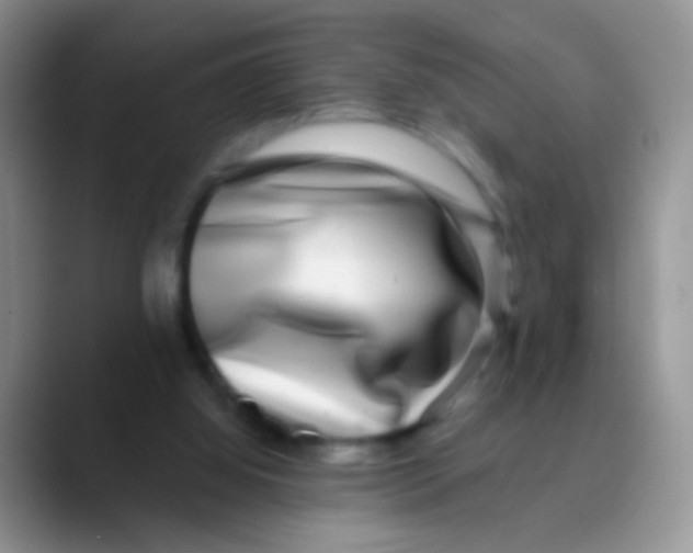 X0000089880060200707192004