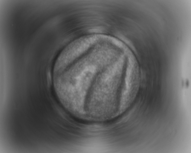 X0000089880061200707192004