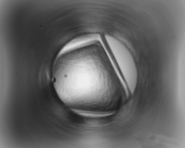 X0000089880062200707192004