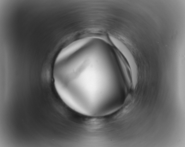 X0000089880064200707192004