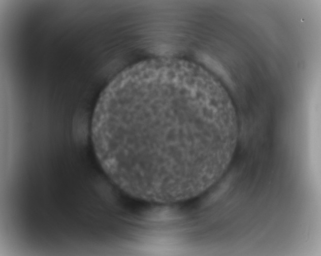 X0000089880065200707192004