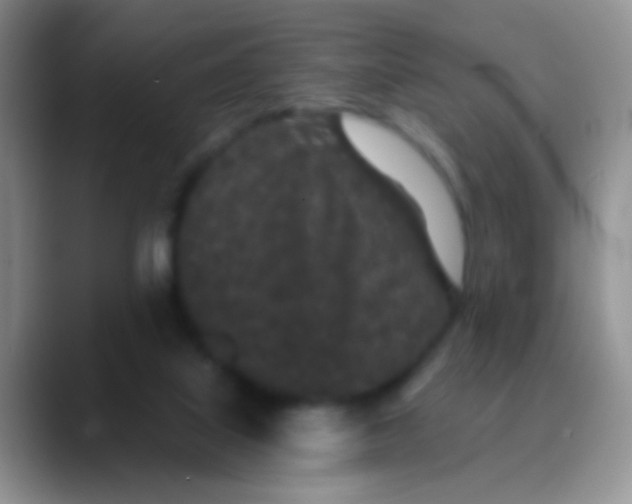 X0000089880067200707192004